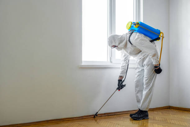 Best Bed Bug Extermination  in Los Gatos, CA