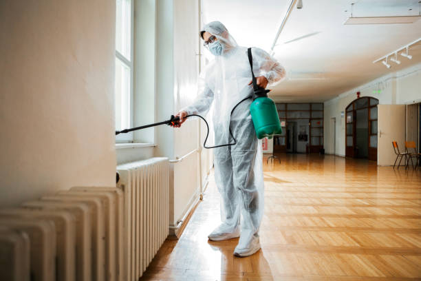 Trusted Los Gatos, CA Pest Control Experts
